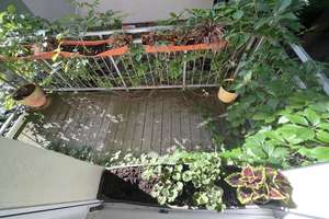 Property thumbnail 12