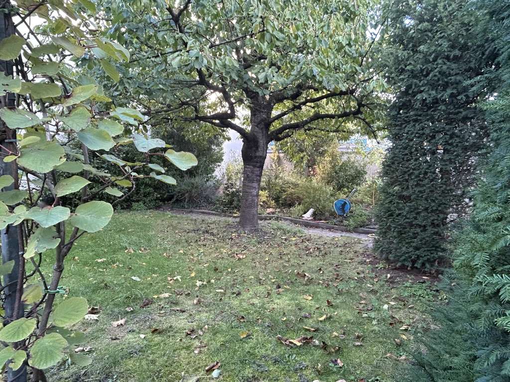 Immobilie in Ketsch - Großzügiges Wohnhaus in zentraler Lage mit ggfs. Neubaumöglichkeit - Bild 1