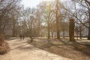 Property thumbnail 20