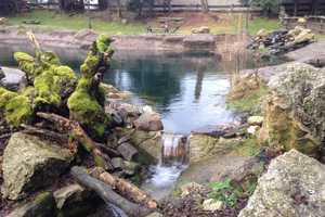 Repräsentatives Wohnhaus mit parkähnlicher Gartenanlage im Fichtelgebirge – Bayreuth (Kreis) – Vorschaubild 60