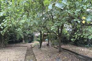 Property thumbnail 21