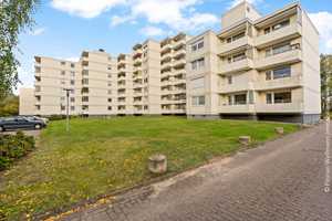 Property thumbnail 12