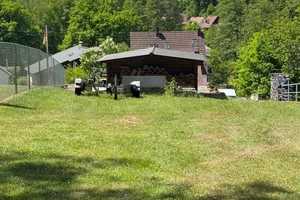 Gelegenheit - SCHRAUBERPARADIES - Mehrgenerationenhaus - Lage unbezahlbar - SELTEN! – Südwestpfalz (Kreis) – Vorschaubild 11
