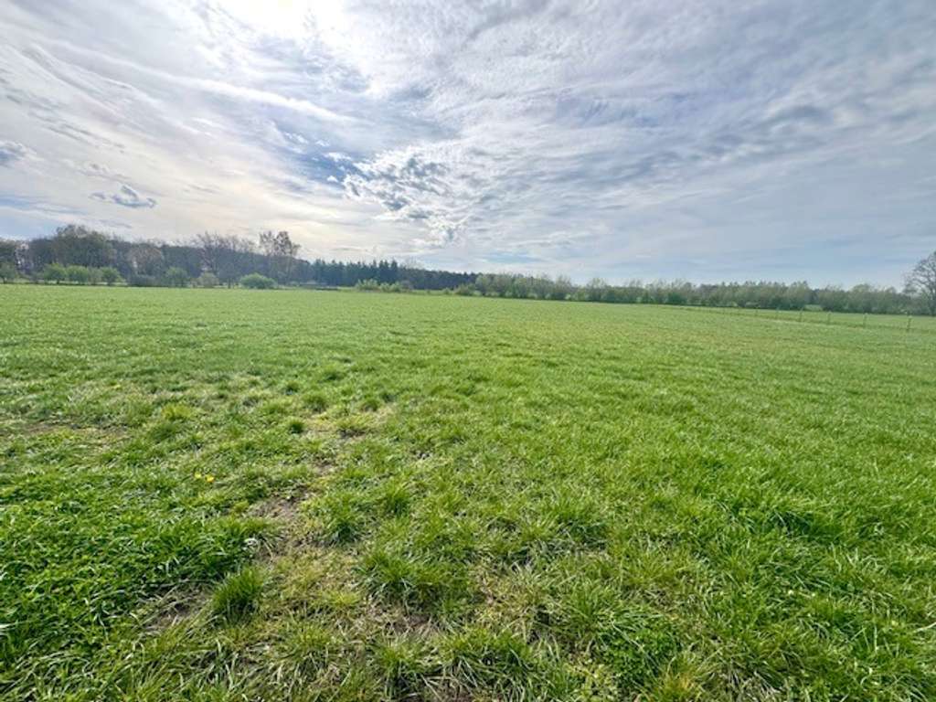 Immobilie in Versmold - Traumhaft gel. Resthof mit Stallungen, Scheune und Wiesen Nähe Heidesee 33775 Versmold-OT Peckeloh - Bild 3