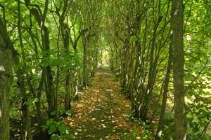 Property thumbnail 25