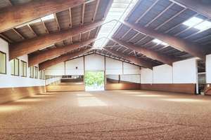 NRW, Nordrhein-Westfalen, Raum Bielefeld - gepflegte Reitanlage zu verkaufen – Die vollständige Adresse der Immobilie erhältst du vom Anbieter., 33739 Jöllenbeck, Bielefeld – Vorschaubild 4