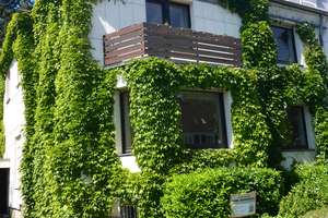 FAMILIENPARADIES am Rothenbühl in Saarbrücken – Die vollständige Adresse der Immobilie erhältst du vom Anbieter., 66123 St. Johann, Saarbrücken – Vorschaubild 2