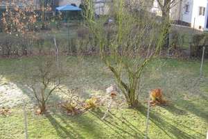Erstbezug nach Wohnungssanierung, Wohnung mit Wintergarten und Laminatboden – 4179 Leutzsch, Leipzig – Vorschaubild 6