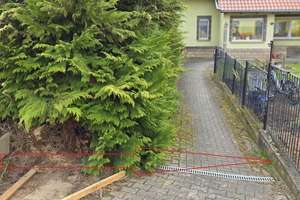 Freistehendes Einfamilienhaus „ERDWÄRME“! Weissenfels – OT Borau – Hinter den Gärten 2, 6667 Weißenfels – Vorschaubild 19
