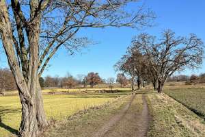 Exklusives Wohnen im Villenpark Potsdam – Die vollständige Adresse der Immobilie erhältst du vom Anbieter., 14476 Groß Glienicke, Potsdam – Vorschaubild 20