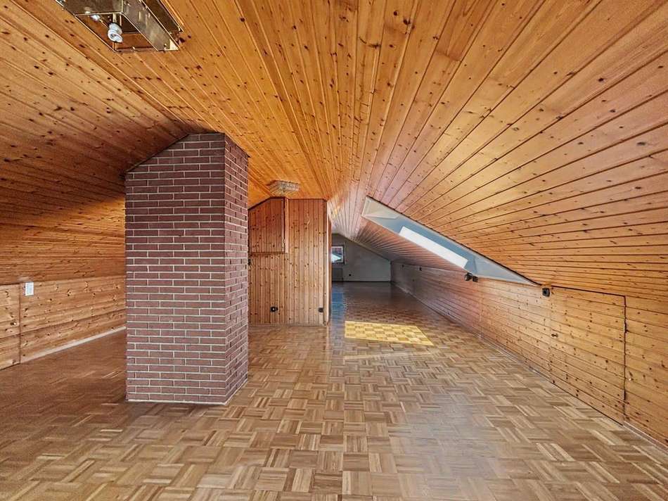 DG Studio