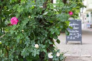 Property thumbnail 24