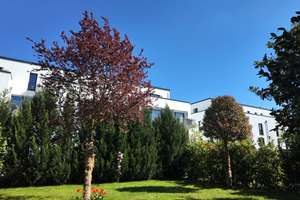 Einfamilienhaus - Neubau - Rodenkirchen im Sürther Feld – Die vollständige Adresse der Immobilie erhältst du vom Anbieter., 50999 Rodenkirchen (Ortsteil), Köln – Vorschaubild 18