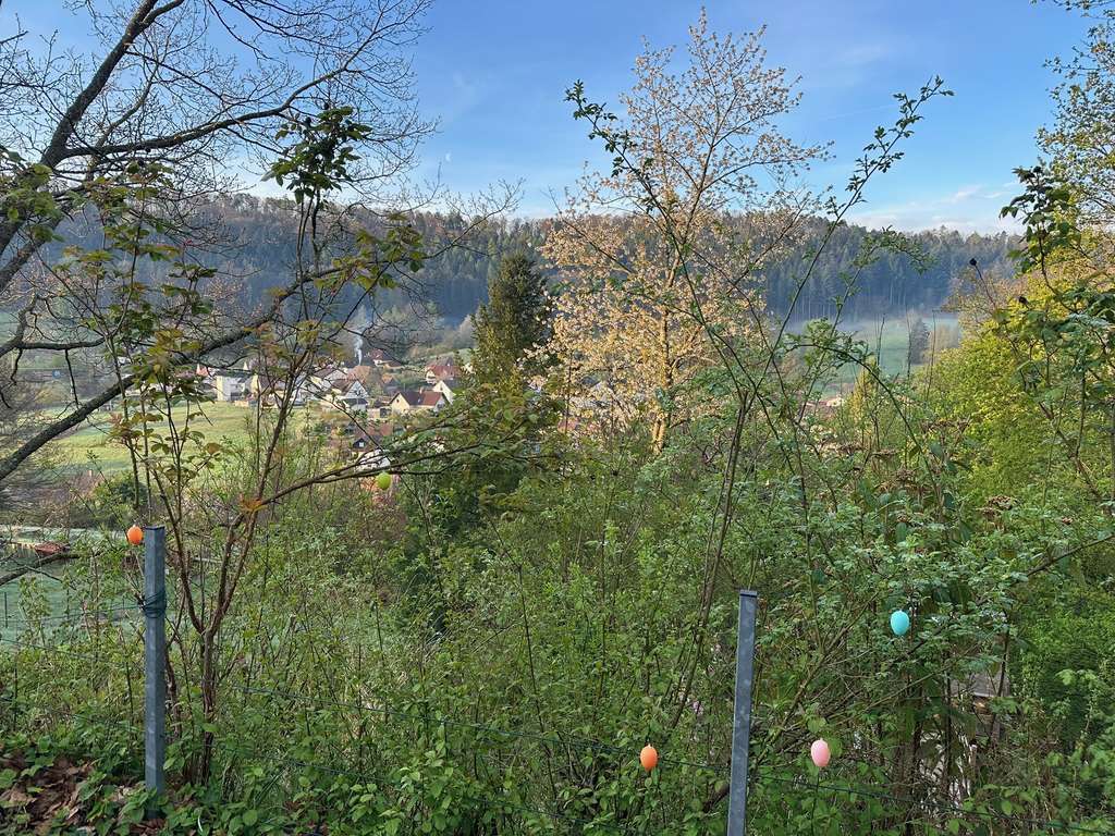 Immobilie in Elmstein - Ferienhaustraum im Pfälzer Wald - Bild 3