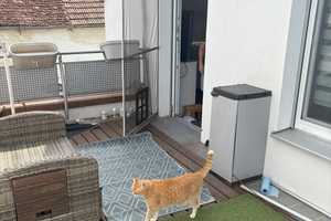 NEUWERTIG **KFW 55 *Mehrgenerationenhaus mit unabhängiger Einliegerwohnung* – Bucherstraße 2+2A, 86500 Augsburg (Kreis) – Vorschaubild 8