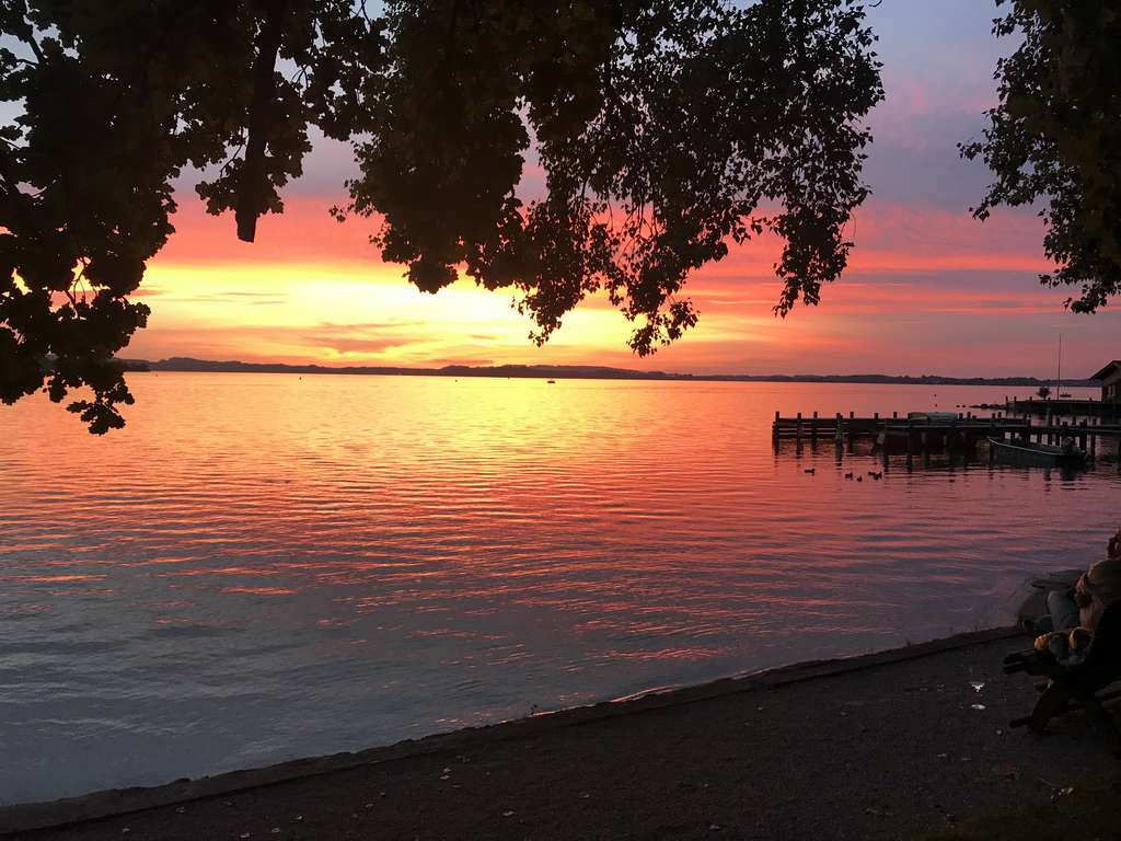 Immobilie in Übersee - 3-Zimmer-Neubauwohnung - Bergpanorama -   OG mit Balkon - - Bild 1