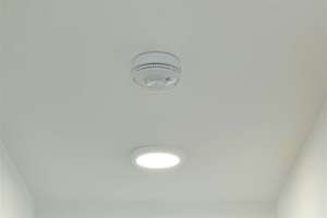 Property thumbnail 19