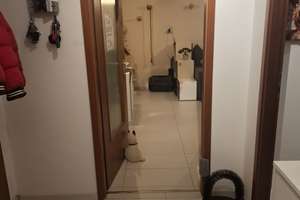 2 Zimmer Wohnung in Edigheim  – Die vollständige Adresse der Immobilie erhältst du vom Anbieter., 67069 Edigheim, Ludwigshafen am Rhein – Vorschaubild 11