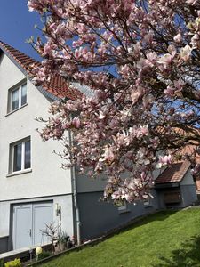 Kaufpreissenkung ! tolles Einfamilienhaus