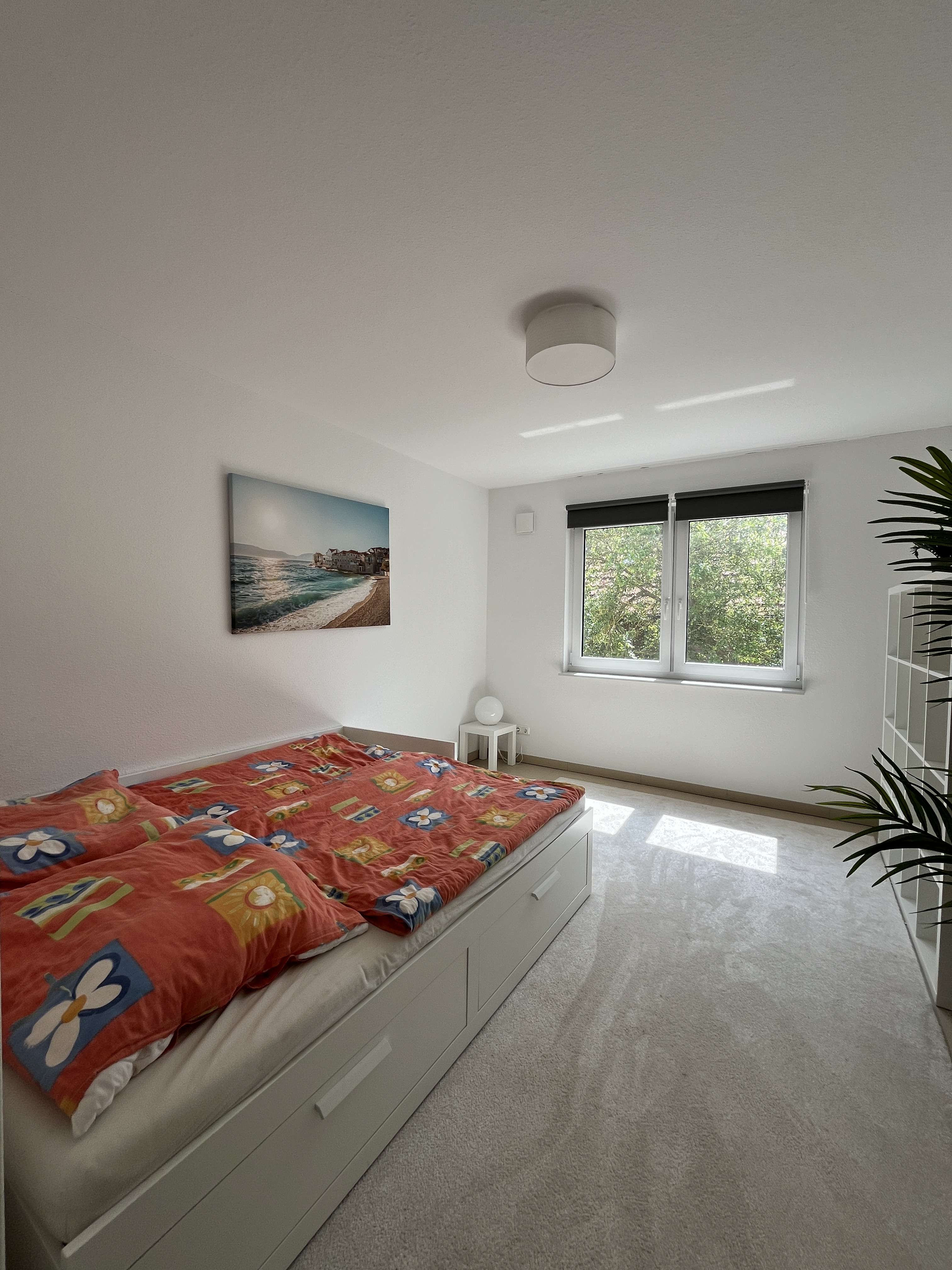 Immobilie in Boltenhagen - Freistehendes Wohnhaus mit 3 Wohneinheiten und riesigem Grundstück - Bild 15