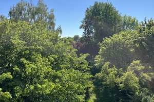 Traumhafte 3-Zimmer-Wohnung mit idyllischem Ausblick in Augsburg – Augsburg – Vorschaubild 3