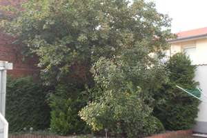 Zentrumsnahe TOP - 2,5 ZKDBA- SINGLE  Hochparterre-Whg. mit Garten und Terrasse – Josef-Ries-Str. 9, 99086 Johannesvorstadt, Erfurt – Vorschaubild 30