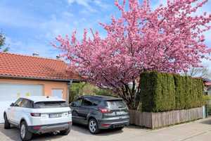DHH Schechen, modern, lichtdurchflutet, ruhige Lage, von Privat – Tannenweg 25, 83135 Rosenheim (Kreis) – Vorschaubild 2