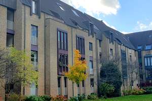 Property thumbnail 19