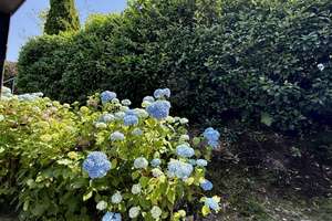 Einfamilienhaus mit ca. 90 QM Wohnfläche+3 Zimmer+großer Garten+begehrte Lage, direkt am Wurmtal+ – Die vollständige Adresse der Immobilie erhältst du vom Anbieter., 52146 Würselen – Vorschaubild 30