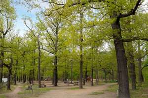 Property thumbnail 24