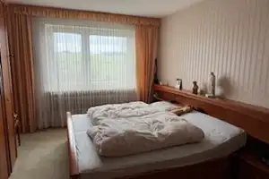 Wilnsdorf-Niederdielfen, hochwertiges, geräumiges Wohnhaus in sonniger Aussichtslage – Siegen-Wittgenstein (Kreis) – Vorschaubild 7