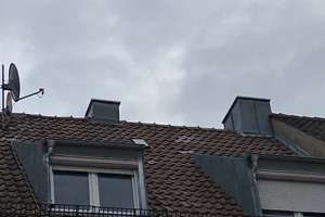 Mehrfamilienhaus mit 9-WE im Herzen Würzburgs – 97070 Altstadt, Würzburg – Vorschaubild 6