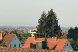 Geräumiges, preiswertes und gepflegtes 7-Zimmer-Einfamilienhaus (freistehend) – Die vollständige Adresse der Immobilie erhältst du vom Anbieter., 67433 Hambach, Neustadt an der Weinstraße – Vorschaubild 3