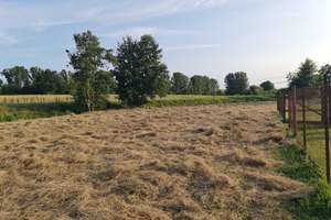 PROVISIONSFREI - LEBEN AUF DEM LAND + EFH AUF 3.200 m² GRUNDSTÜCK + MÜHLENBECKER LAND / OT BUCHHORST – Die vollständige Adresse der Immobilie erhältst du vom Anbieter., 16567 Mühlenbecker Land – Vorschaubild 16