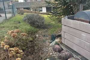 solides Einfamilienhaus in ruhiger citynaher Lage – Solingen – Vorschaubild 8