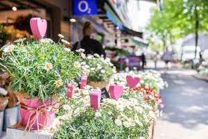 Property thumbnail 16