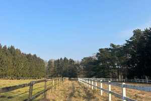 Eine Perle in der Lüneburger Heide-Anwesen mit vielfältigen Möglichkeiten – Heidekreis – Vorschaubild 1
