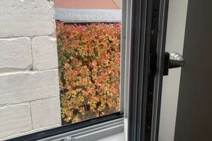 Lieblingswohnung? Hell, saniert, Nähe Fußgängerzone. – Bäumenstraße 3, 90762 Altstadt, Innenstadt, Fürth – Vorschaubild 29