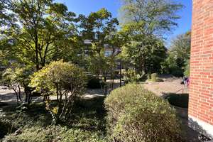 Property thumbnail 23