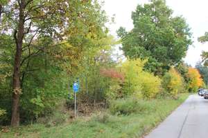 möblierte 2 ZiWhg in Trudering/Perlach direkt am Wald – Die vollständige Adresse der Immobilie erhältst du vom Anbieter., 81827 Waldtrudering, München – Vorschaubild 4