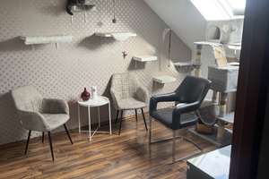 Wohnen mit Charakter: 3-Zimmer-Dachgeschosswohnung in Mannheim-Rheinau – Dänischer Tisch 1 b, 68219 Rheinau, Mannheim – Vorschaubild 2