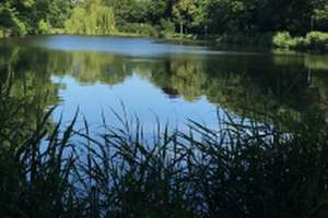 Einzigartiges Wohnensemble am See: Jugendstilvilla, 3‑Zimmer‑Einliegerwohnung & Wintergarten-Oase – Die vollständige Adresse der Immobilie erhältst du vom Anbieter., 25348 Glückstadt – Vorschaubild 3