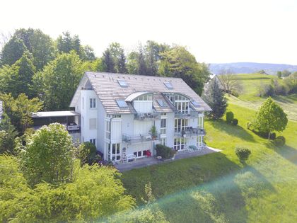 Wohnung Mieten In Freiburg Im Breisgau Immobilienscout24