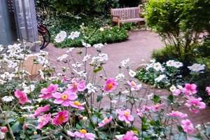 Property thumbnail 14