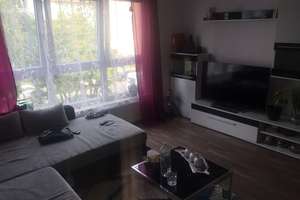Zuhause mit einem Zimmer in der Mainzer Neustadt – Sömmerringstraße 16, 55118 Neustadt, Mainz – Vorschaubild 4