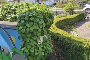 Top gepflegtes Reihenmittelhaus mit Garten und Garage in Regenstauf – Am Grasigen Weg 6, 93128 Regenstauf – Vorschaubild 38
