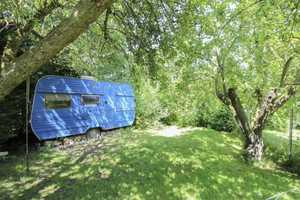 Ländliche Idylle für Sie und Ihre Familie Fachwerkhaus inkl. FeWo in Behrenwalde (Weitenhagen) – Nordvorpommern (Kreis) – Vorschaubild 15