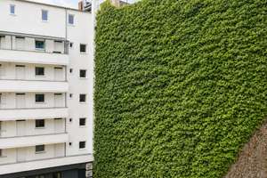 Savignyplatz: Sonniges Altbau‑Apartment mit hohen Decken & Originaldielen, bezugsfrei – Die vollständige Adresse der Immobilie erhältst du vom Anbieter., 10623 Charlottenburg, Berlin – Vorschaubild 8