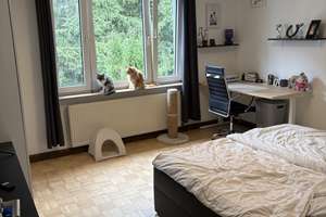 Helle 2-Zimmer-Wohnung | Einbauküche | Solingen-Mitte – Die vollständige Adresse der Immobilie erhältst du vom Anbieter., 42651 Solingen-Mitte, Solingen – Vorschaubild 6
