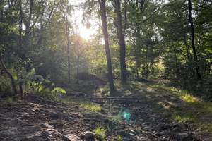 Property thumbnail 23